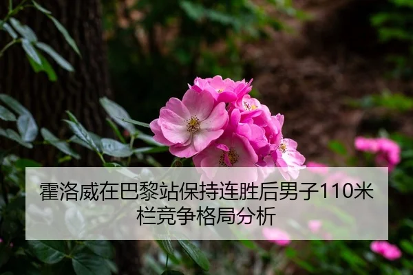 霍洛威在巴黎站保持连胜后男子110米栏竞争格局分析