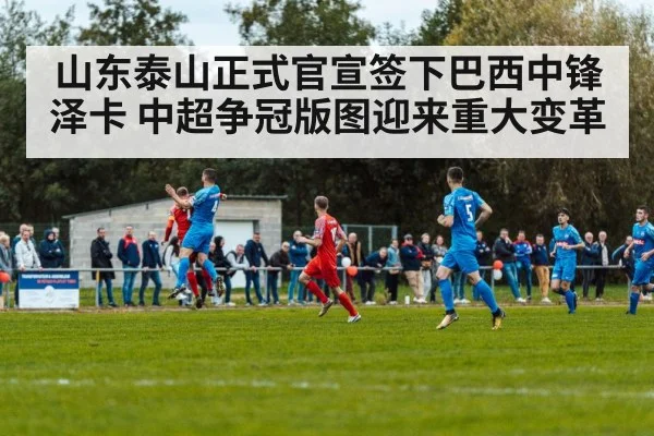 山东泰山正式官宣签下巴西中锋泽卡 中超争冠版图迎来重大变革